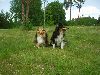 Clic here to see the picture (lisasally009.jpg)