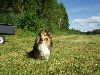 Clic here to see the picture (lisasally012.jpg)