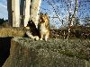 Clic here to see the picture (lisasally016.jpg)