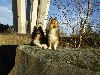 Clic here to see the picture (lisasally017.jpg)