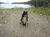 Clic here to see the picture (lisasally018.jpg)