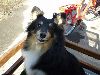 Clic here to see the picture (lisasally028.jpg)