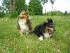 Clic here to see the picture (lisasally029.jpg)