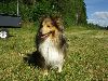 Clic here to see the picture (lisasally032.jpg)