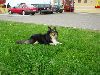 Clic here to see the picture (lisasally034.jpg)