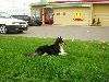 Clic here to see the picture (lisasally035.jpg)