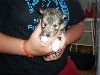 Clic here to see the picture (lisasally039.jpg)