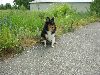 Clic here to see the picture (lisasally041.jpg)