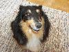 Clic here to see the picture (lisasally045.jpg)