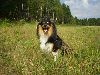 Clic here to see the picture (lisasally049.jpg)