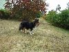 Clic here to see the picture (lisasally058.jpg)