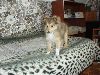 Clic here to see the picture (lisasally062.jpg)