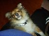 Clic here to see the picture (lisasally066.jpg)