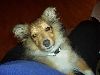 Clic here to see the picture (lisasally067.jpg)