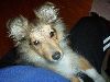 Clic here to see the picture (lisasally070.jpg)