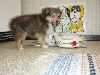 Clic here to see the picture (lisasally072.jpg)